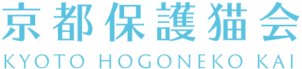京都保護猫会公式ホームページ