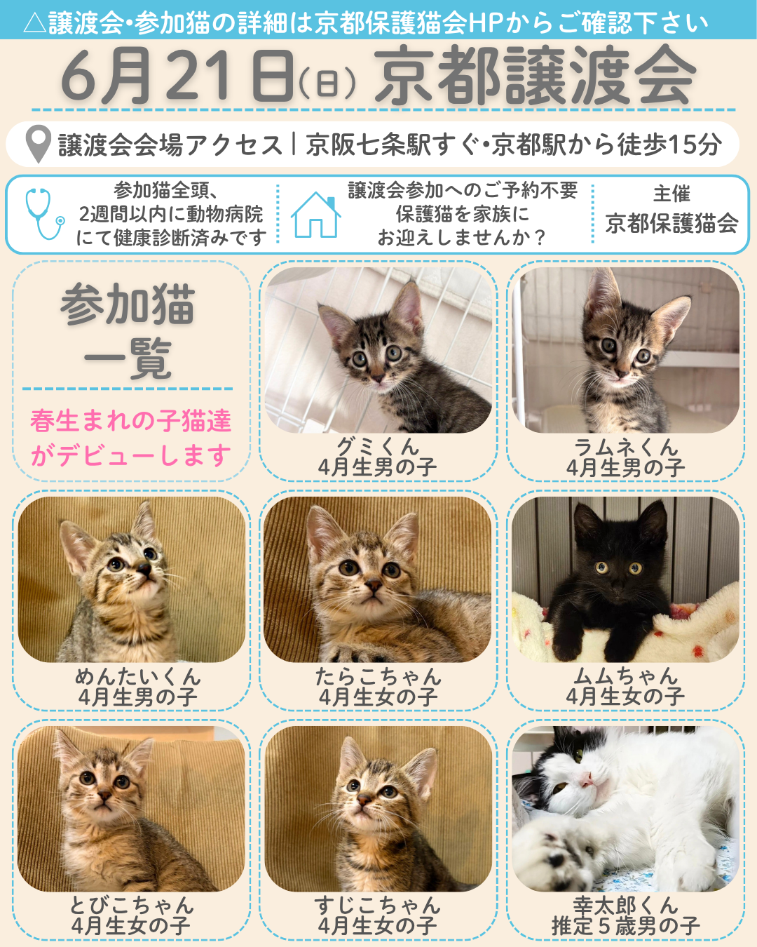 6月21日京都譲渡会参加猫一覧