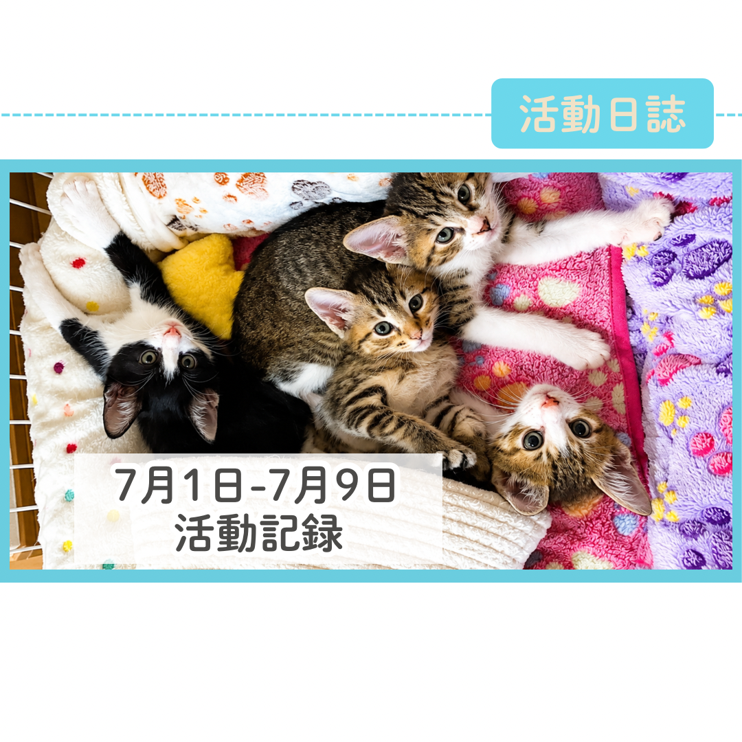 7月1日~9日活動記録 【譲渡会・通院】