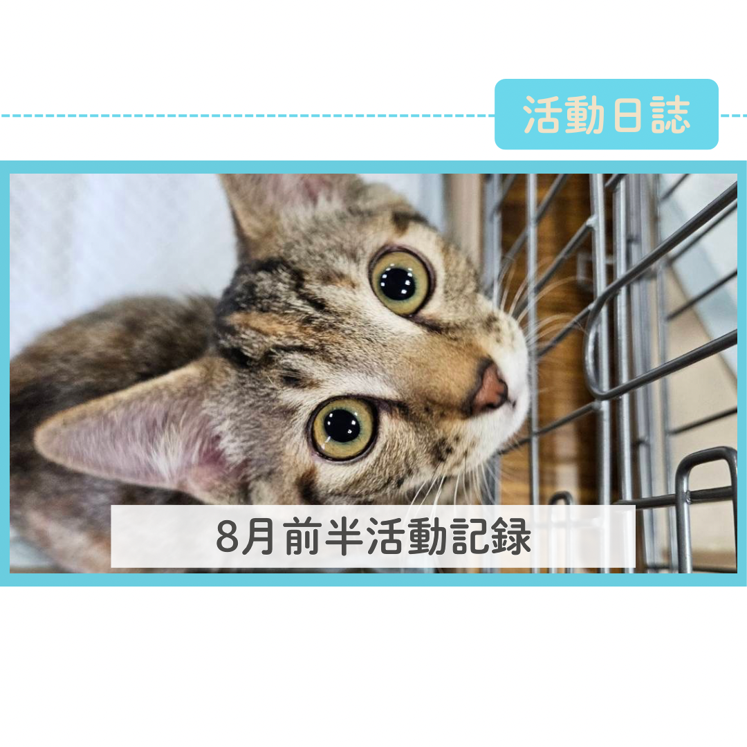 2026年8月前半活動報告