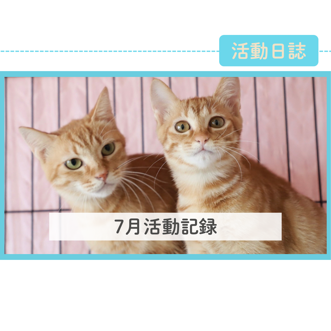 2026年７月活動記録
