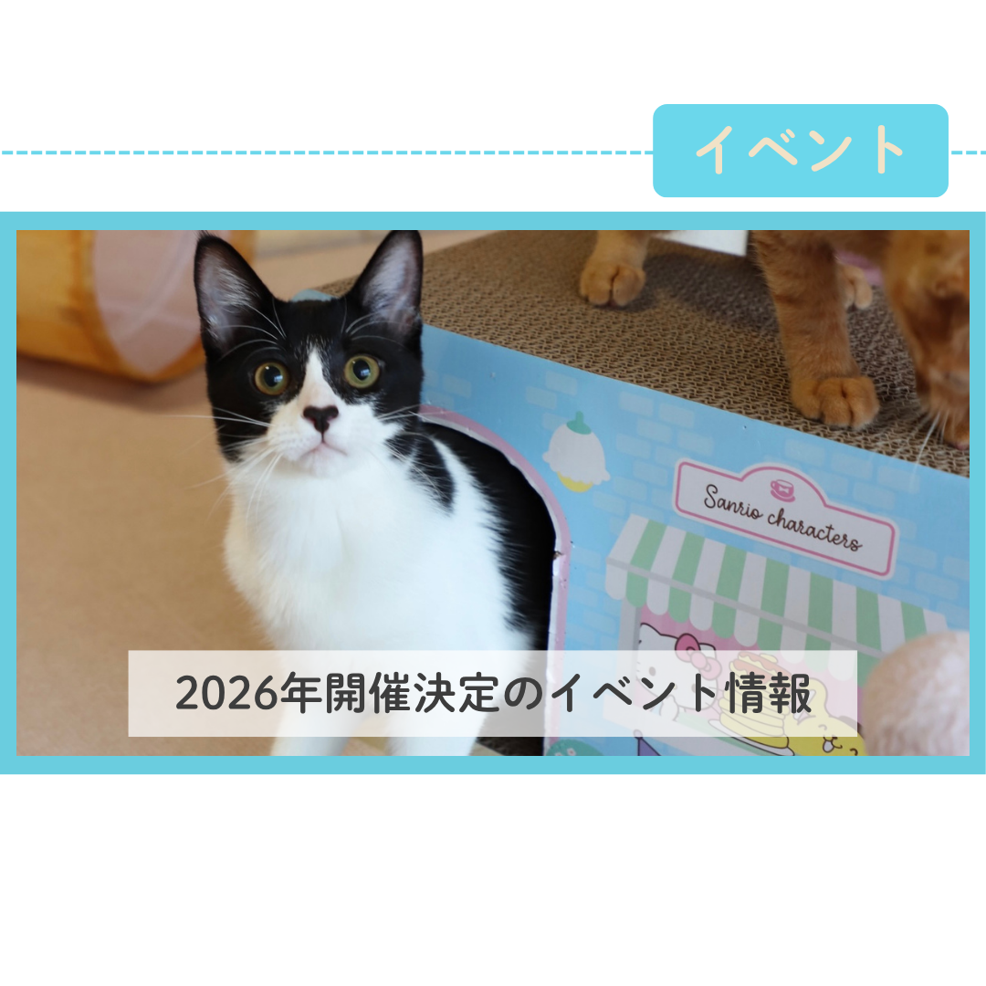 2026年開催決定のイベントスケジュール