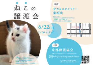 6/8 譲渡会 at 七条 @ サカタニギャラリー | 日本