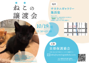 10/19 譲渡会 at 七条 @ サカタニギャラリー | 日本