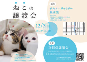 12/7 譲渡会 at 七条 @ サカタニギャラリー | 日本