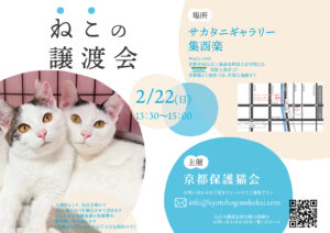 2/22 譲渡会 at 七条 @ サカタニギャラリー | 日本