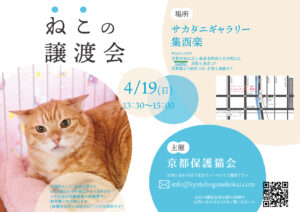 4/19 譲渡会 at 七条 @ サカタニギャラリー | 日本