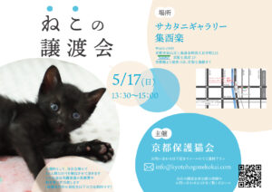 5/17 譲渡会 at 七条 @ サカタニギャラリー | 日本