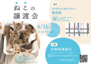 6/21 譲渡会 at 七条 @ サカタニギャラリー | 日本